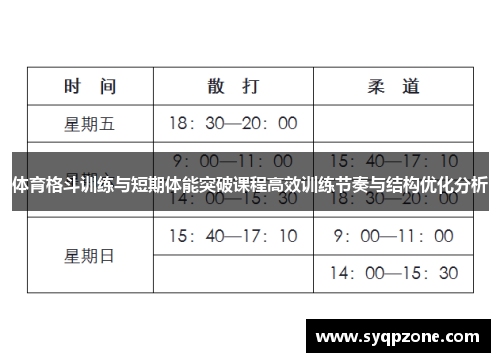 体育格斗训练与短期体能突破课程高效训练节奏与结构优化分析